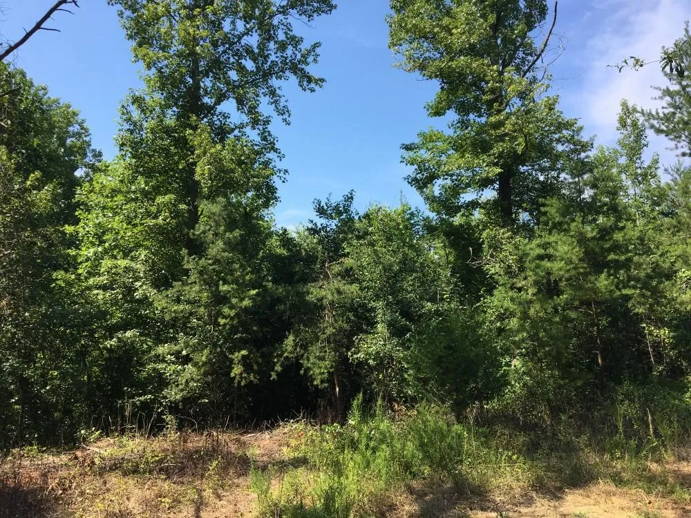 Property image 2 at 0 S Plainview Drive, Greenville, SC 29611