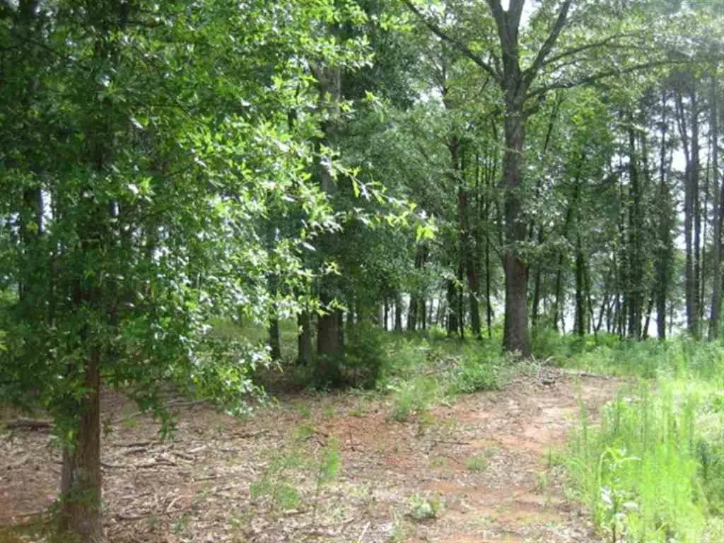 Property image 2 at Lot 21 Laurel Ridge, Seneca, SC 29672