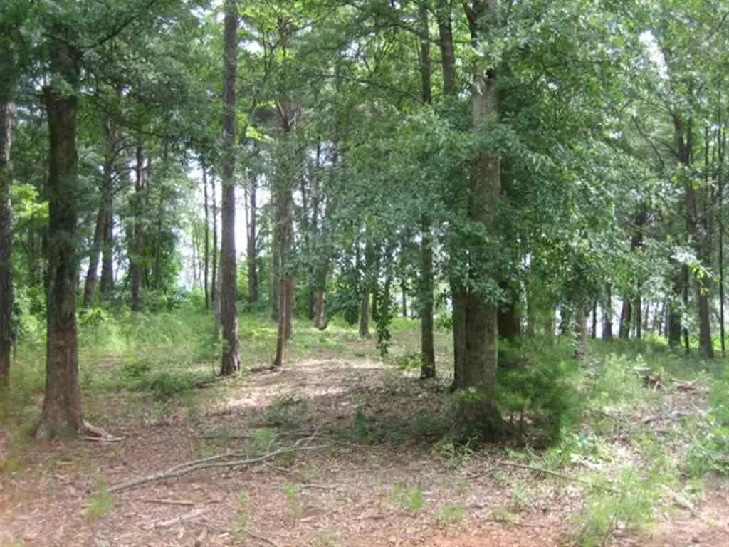 Property image 3 at Lot 21 Laurel Ridge, Seneca, SC 29672