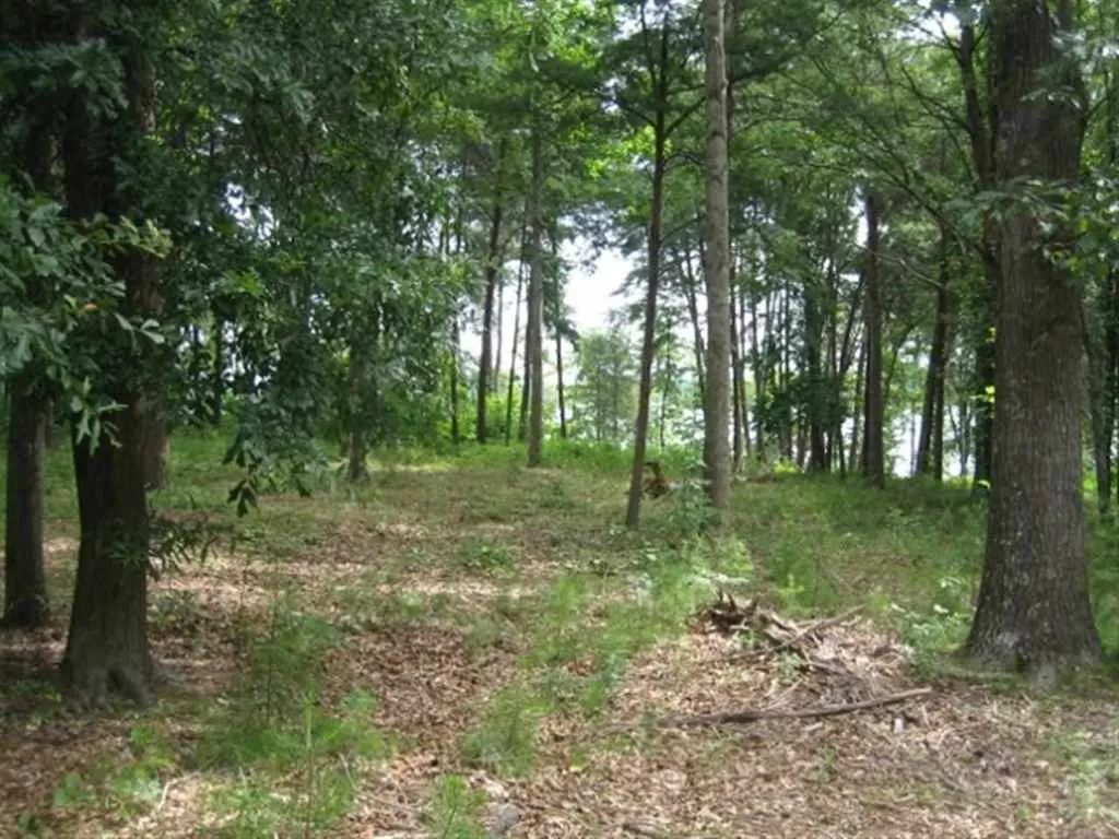 Property image 4 at Lot 21 Laurel Ridge, Seneca, SC 29672