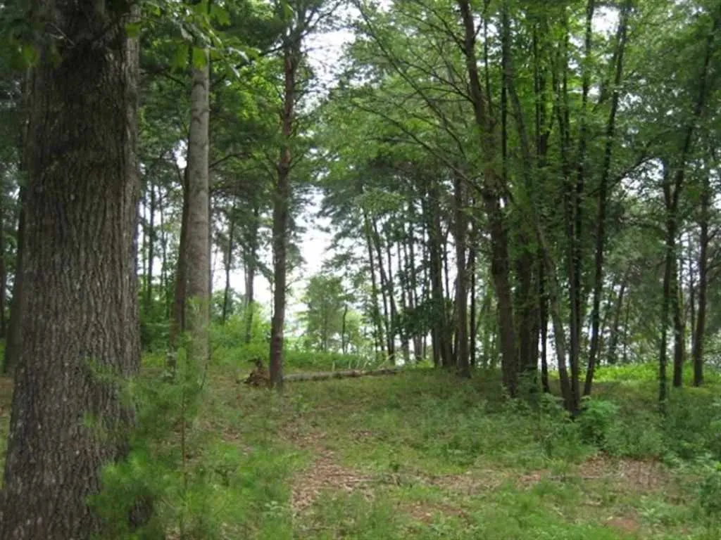 Property image 5 at Lot 21 Laurel Ridge, Seneca, SC 29672