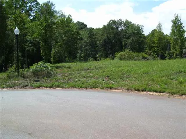 Property image 3 at 208 Golden Willow Court, Easley, SC 29642