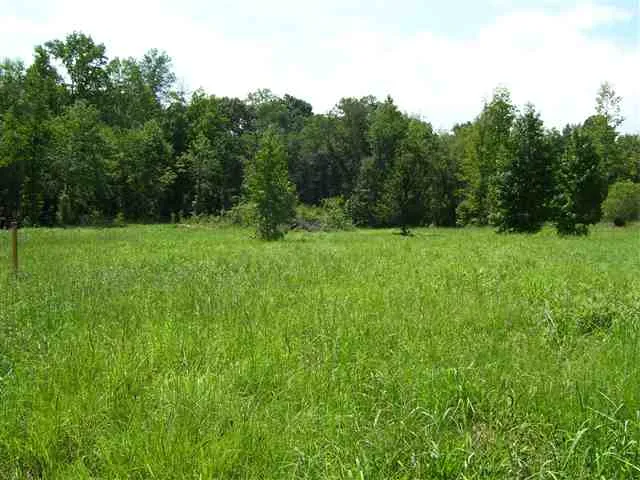 Property image 2 at 204 Golden Willow Court, Easley, SC 29642