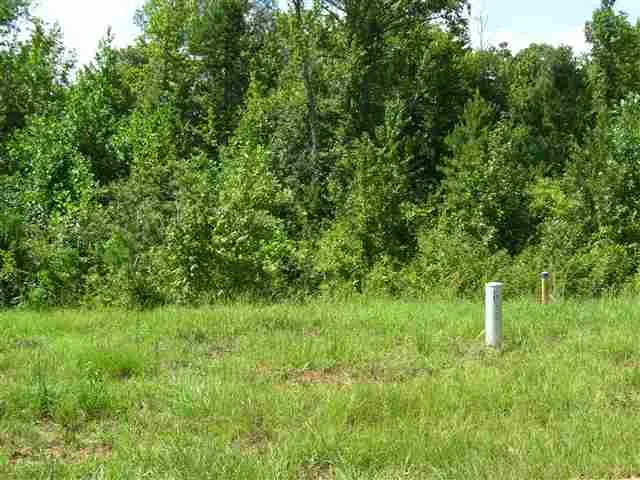 Property image 3 at 204 Golden Willow Court, Easley, SC 29642