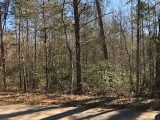 Property image 2 at 121 Mill Pond Road, Powdersville, SC 29642