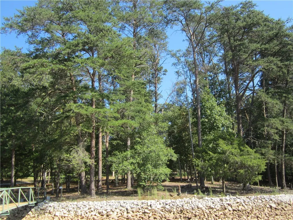 Property image 5 at LOT 16 North Shores Drive, Westminster, SC 29693