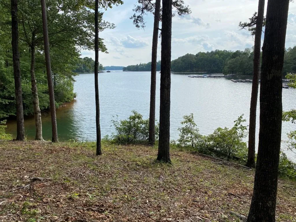 Property image 2 at 0 Sue Craig Road, Six Mile, SC 29682