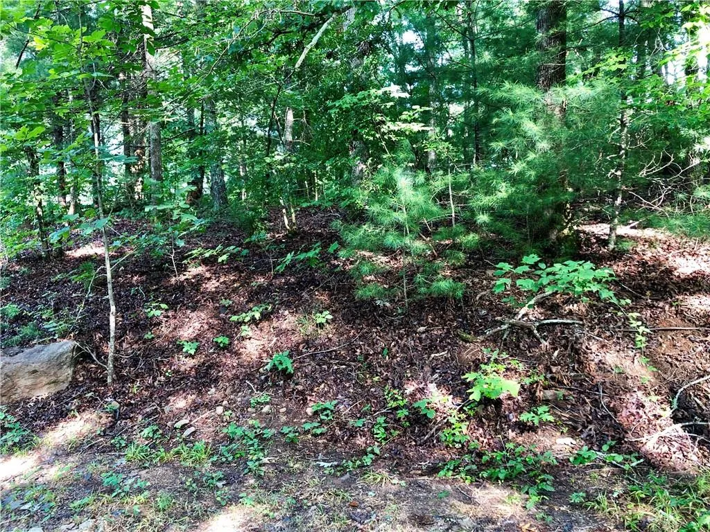 Property image 3 at 115 Mountain Top Drive, Tamassee, SC 29686