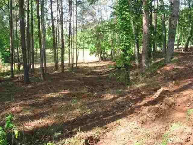 Property image 4 at Lot 1/1A Palmetto Pointe Drive, Salem, SC 29676