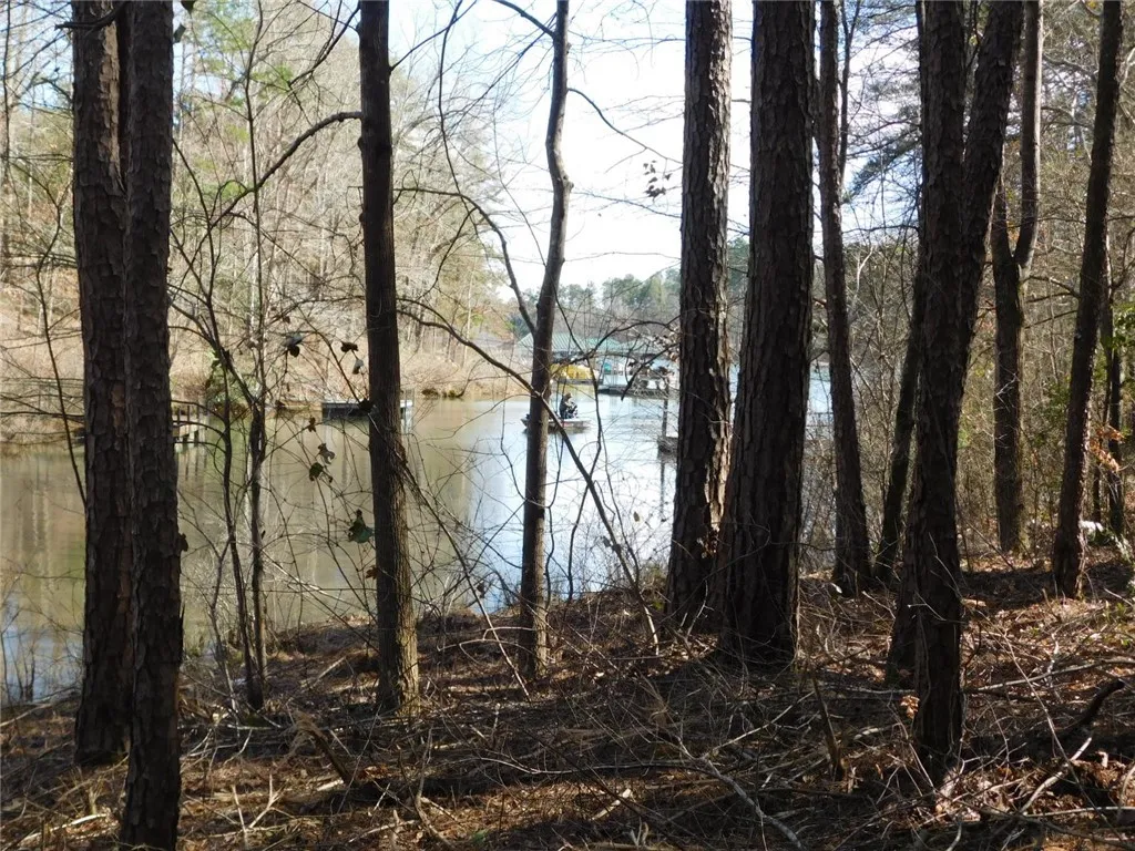 Property image 4 at 428/Lot 27 Riverstone Drive, Salem, SC 29676