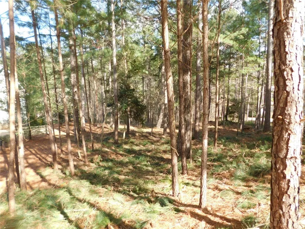 Property image 5 at 428/Lot 27 Riverstone Drive, Salem, SC 29676