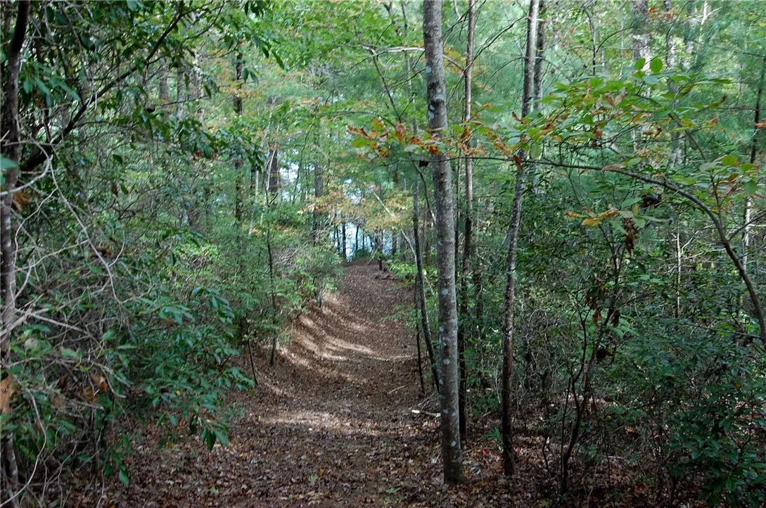 Property image 5 at E16 Lake View Court, Salem, SC 29676