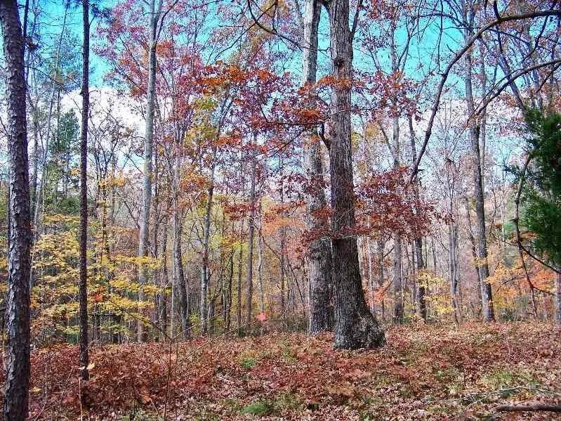 Property image 4 at 728 Scharlin Drive, Pickens, SC 29671