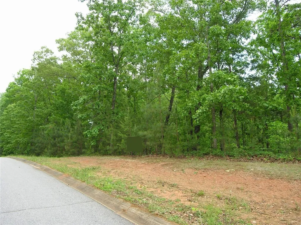 107 Bartram Trail
