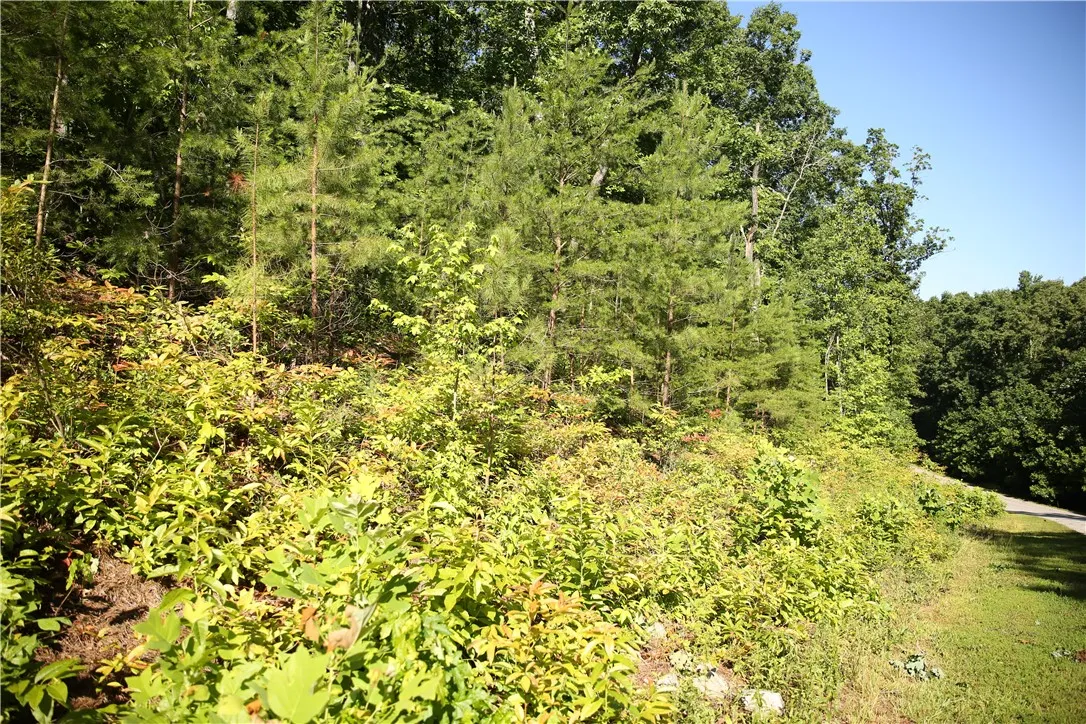 Property image 5 at Lot 32-A Paramount Circle, Seneca, SC 29678
