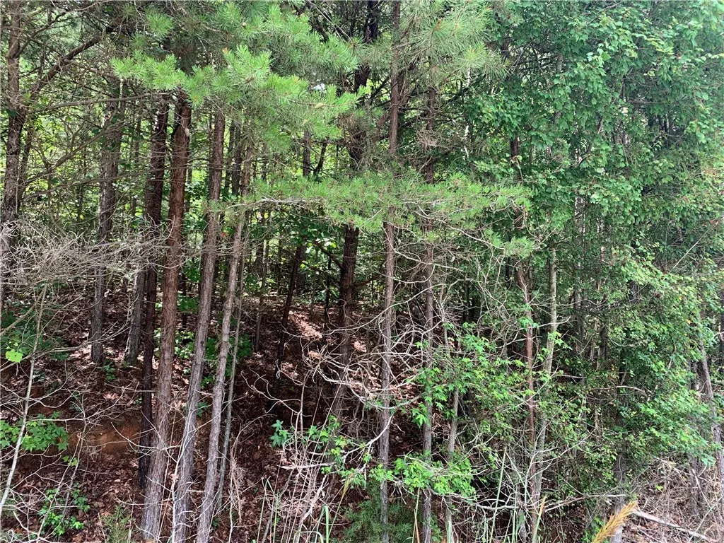 Property image 2 at 00 Martin Creek Road, Seneca, SC 29678