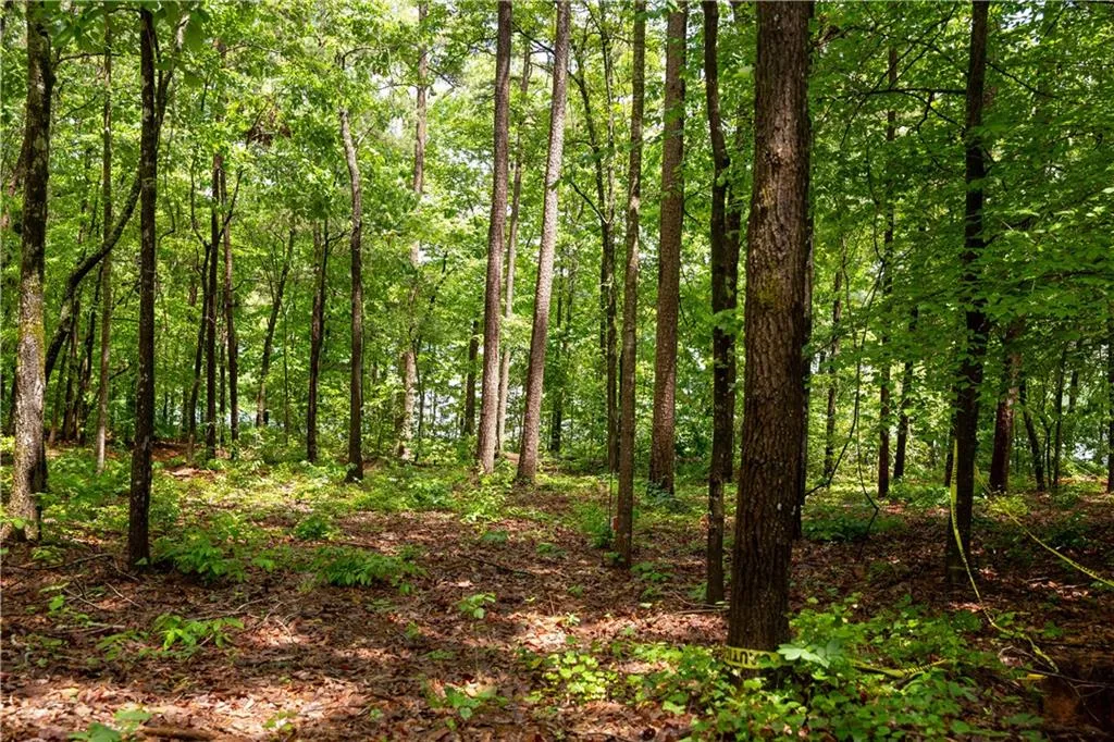 Property image 4 at Lot 4 Spring Hollow Bark Shed Trail, Seneca, SC 29672