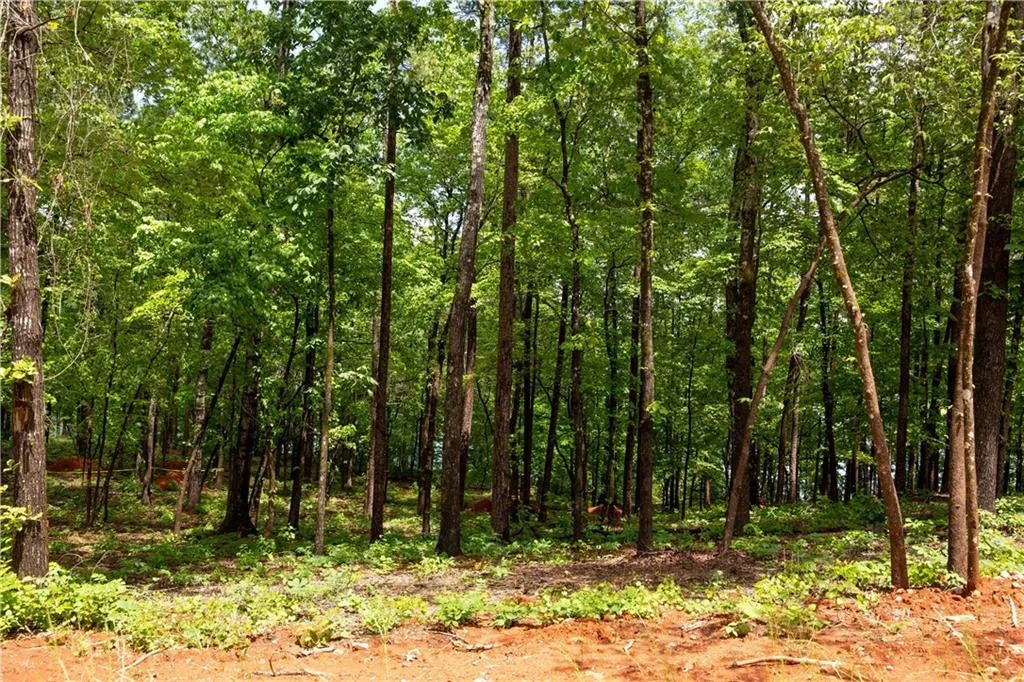 Property image 5 at Lot 4 Spring Hollow Bark Shed Trail, Seneca, SC 29672