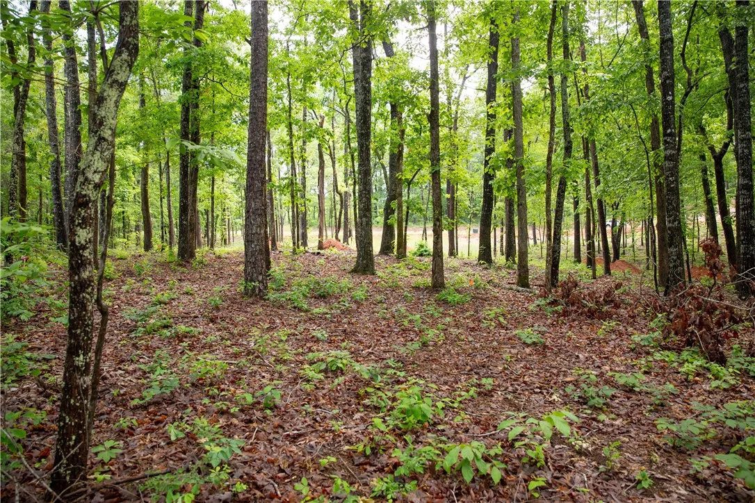 Property image 2 at Lot 6 Spring Hollow Bark Shed Trail, Seneca, SC 29672