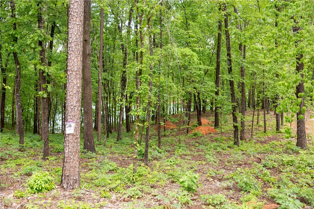 Property image 3 at Lot 6 Spring Hollow Bark Shed Trail, Seneca, SC 29672