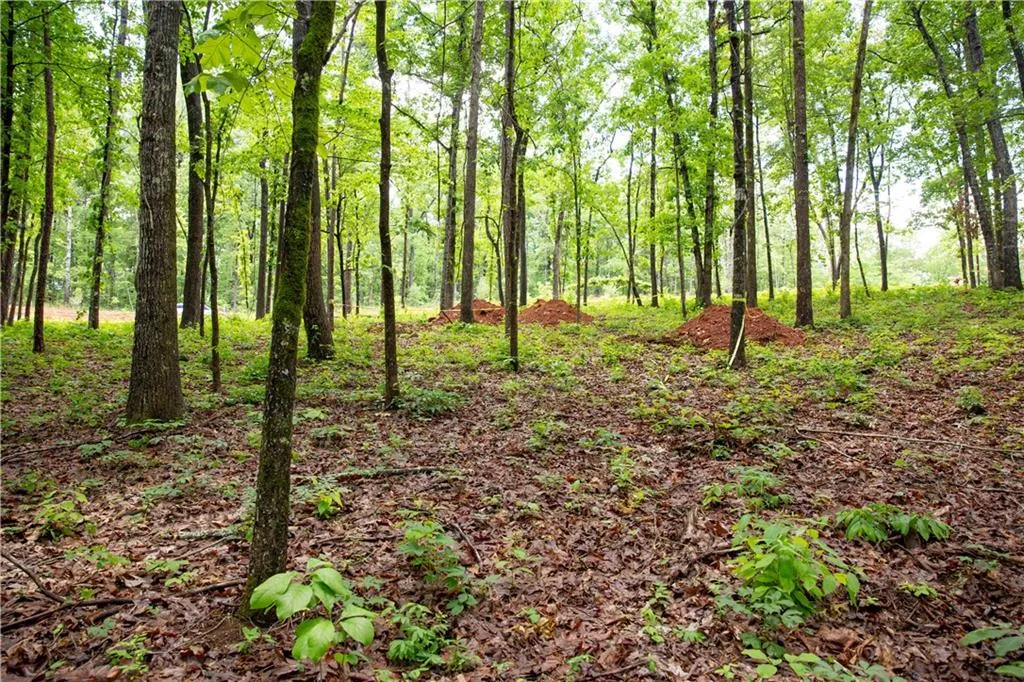 Property image 4 at Lot 7 Spring Hollow Bark Shed Trail, Seneca, SC 29672