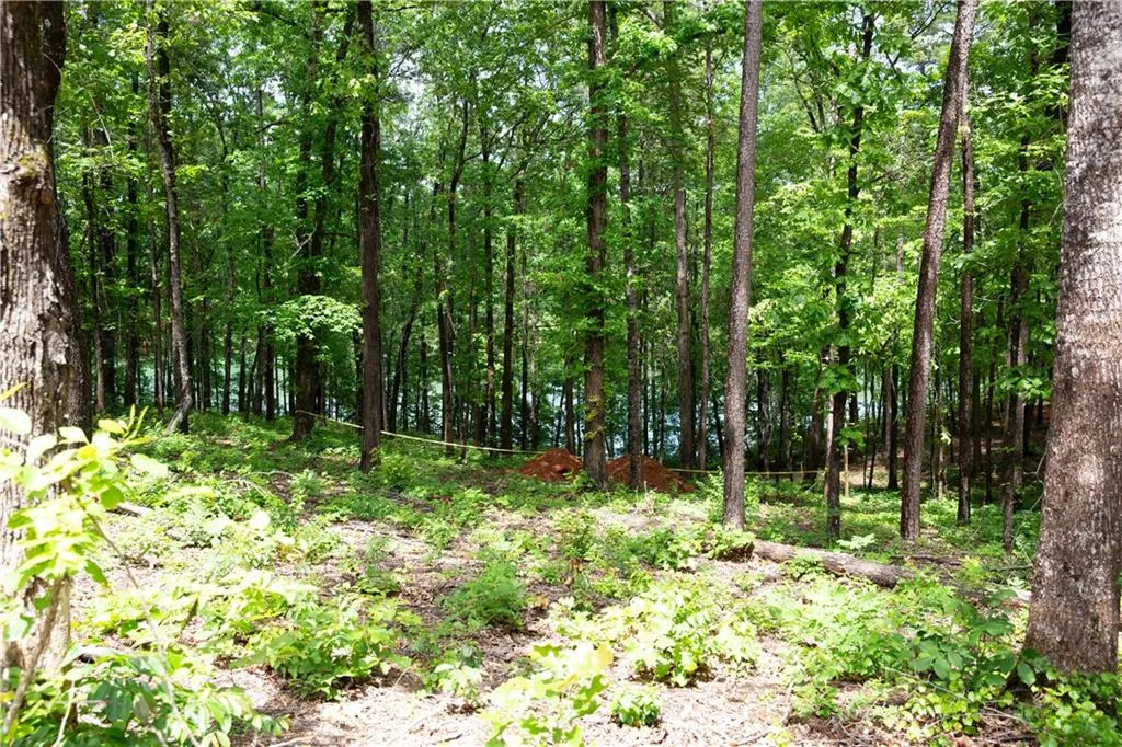 Property image 5 at Lot 7 Spring Hollow Bark Shed Trail, Seneca, SC 29672
