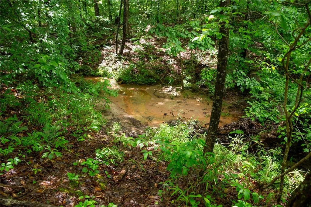 Property image 5 at Lot 12 Spring Hollow Bark Shed Trail, Seneca, SC 29672