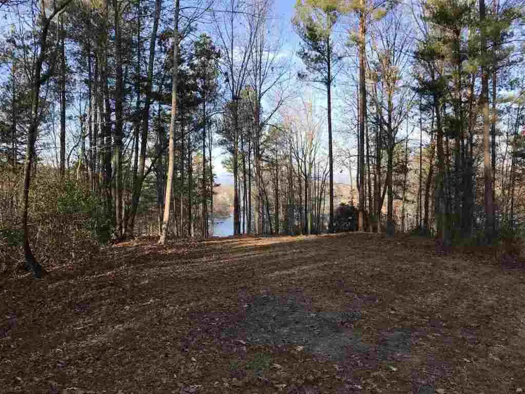 Property image 2 at 346 Long Cove Trail, Salem, SC 29676
