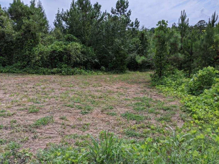 Property image 4 at 204 ELROD Road, Anderson, SC 29624