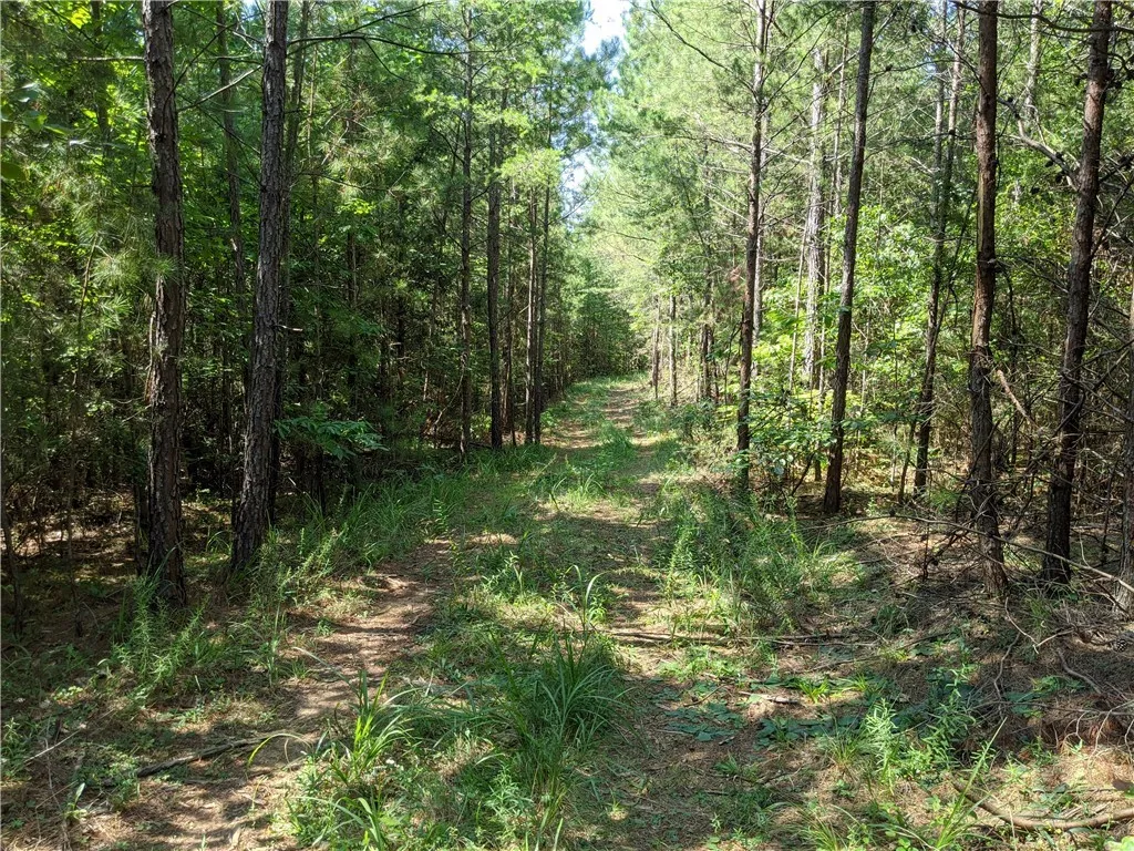 Property image 2 at Lot 4 Waterford Farms Road, Seneca, SC 29672