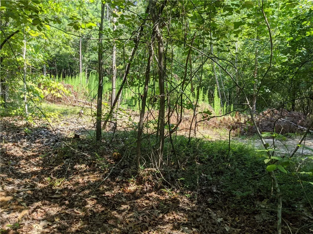 Property image 3 at Lot 4 Waterford Farms Road, Seneca, SC 29672
