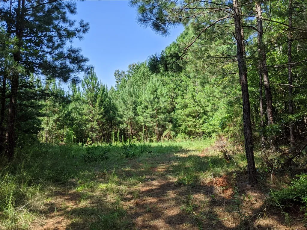 Property image 4 at Lot 4 Waterford Farms Road, Seneca, SC 29672