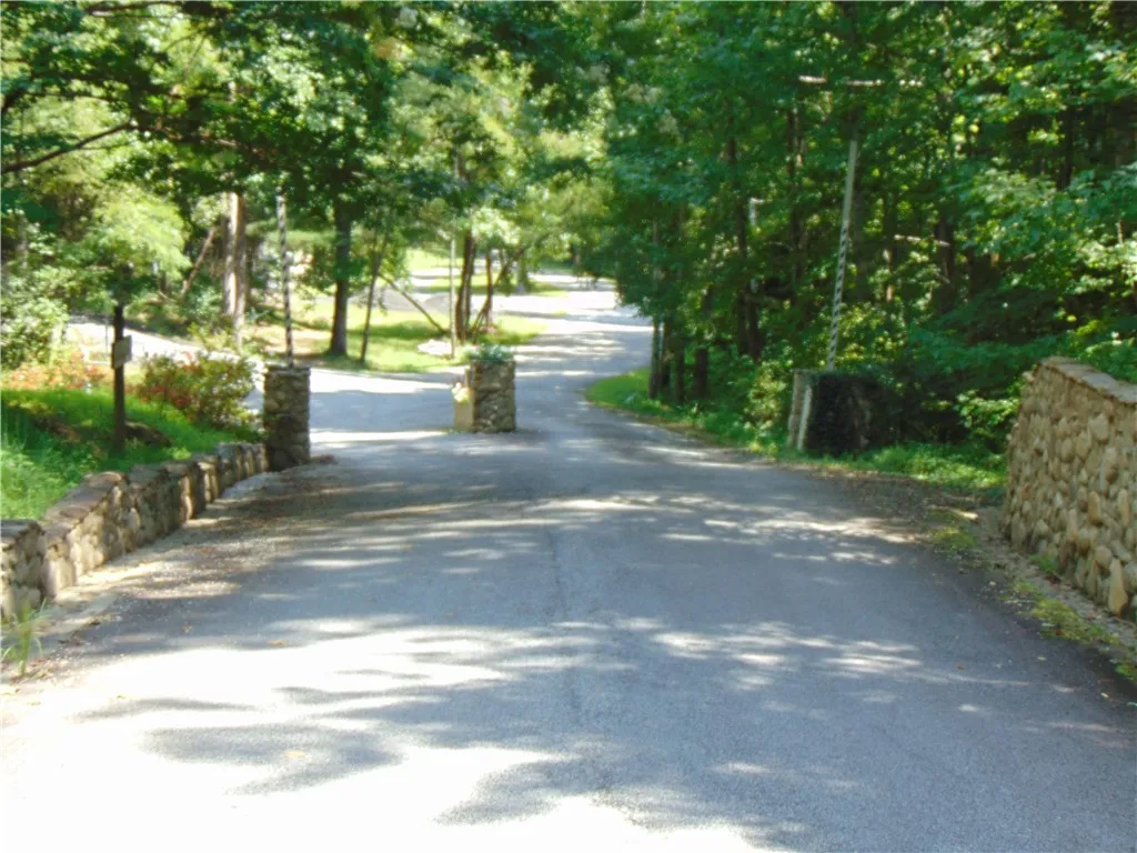 Property image 3 at 0 Laurel Hill Lane, Landrum, SC 29356