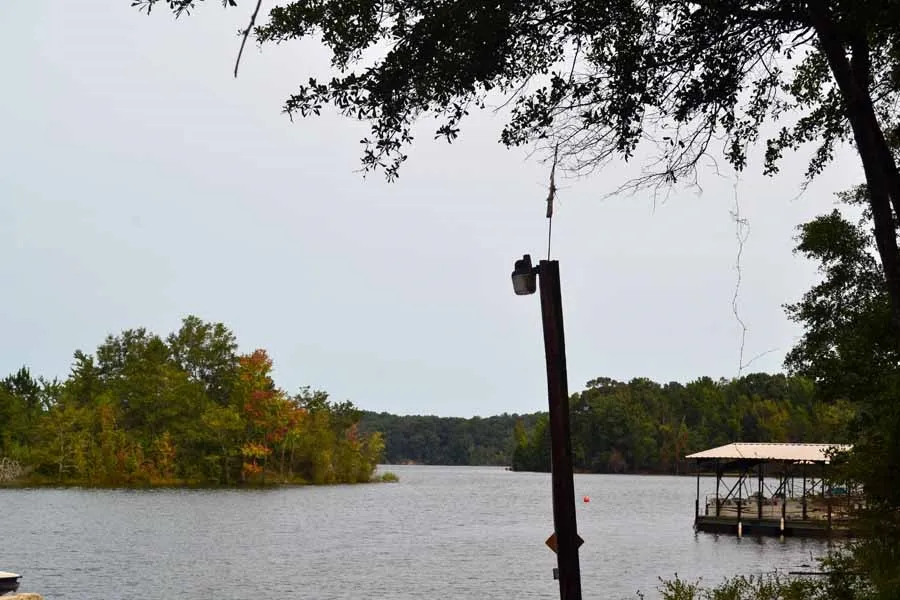 Property image 5 at 101 Collins Road, Lavonia, GA 30553