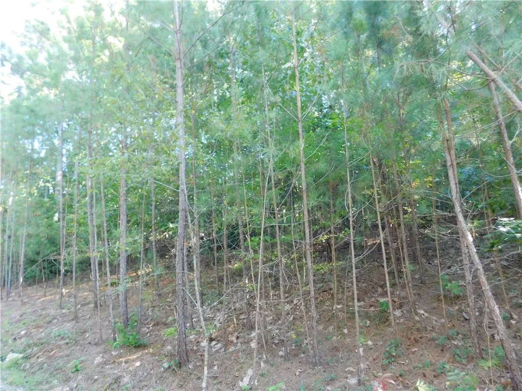 Property image 1 at Lot 6 Bentwood Way, Salem, SC 29676