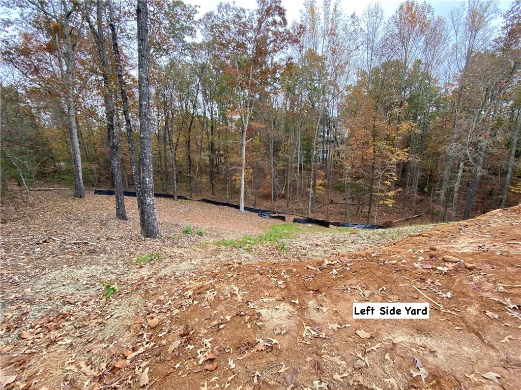 Property image 3 at 107 Bartram Trail, Central, SC 29630