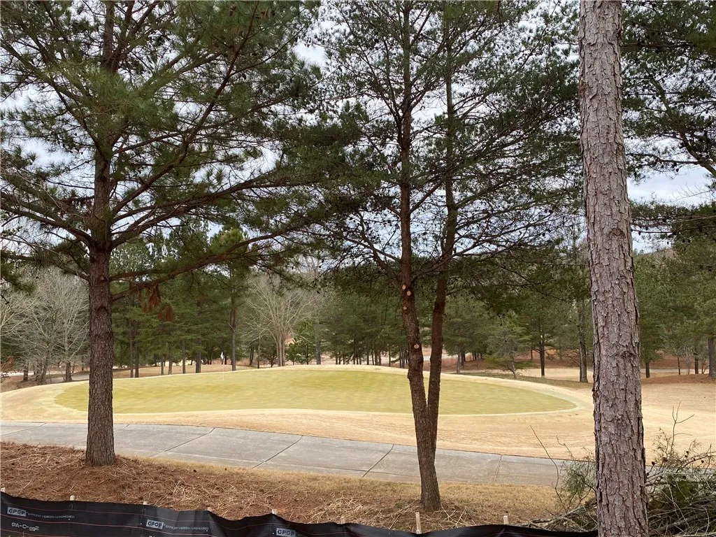 Property image 3 at 49 Coneflower Lane, Toccoa, GA 30577