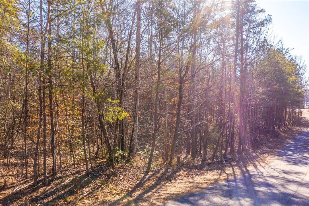 Property image 3 at 28 Leprechaun Lane, Westminster, SC 29693