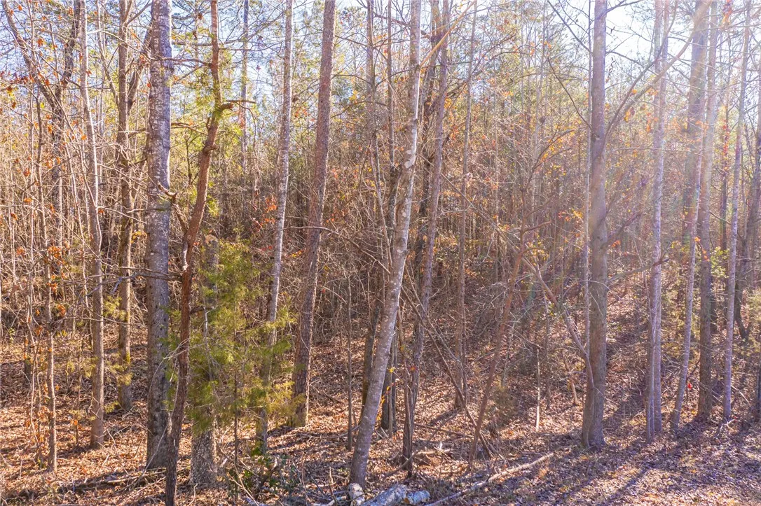 Property image 4 at 28 Leprechaun Lane, Westminster, SC 29693