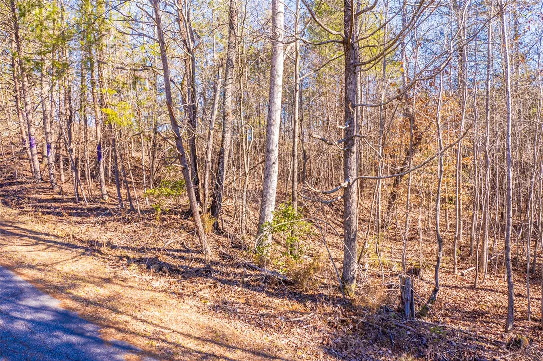 Property image 5 at 28 Leprechaun Lane, Westminster, SC 29693