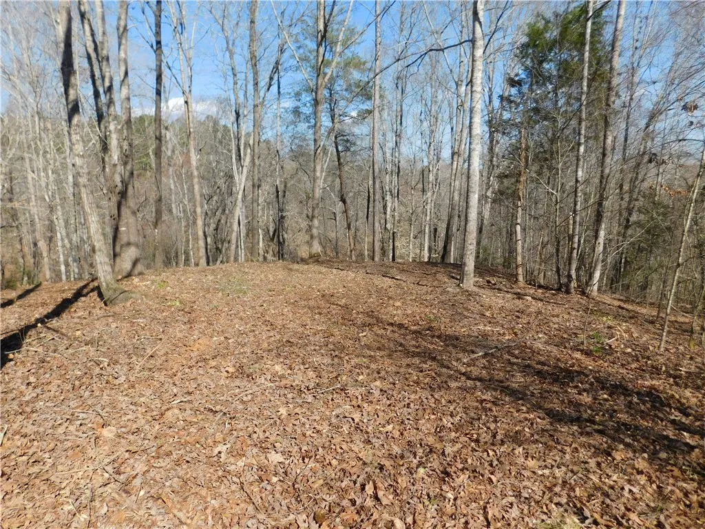 Property image 1 at 327 Cliffs South Parkway, Salem, SC 29676