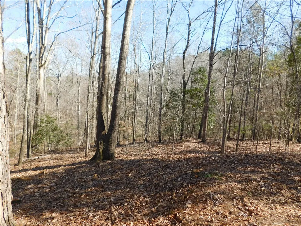 Property image 3 at 327 Cliffs South Parkway, Salem, SC 29676