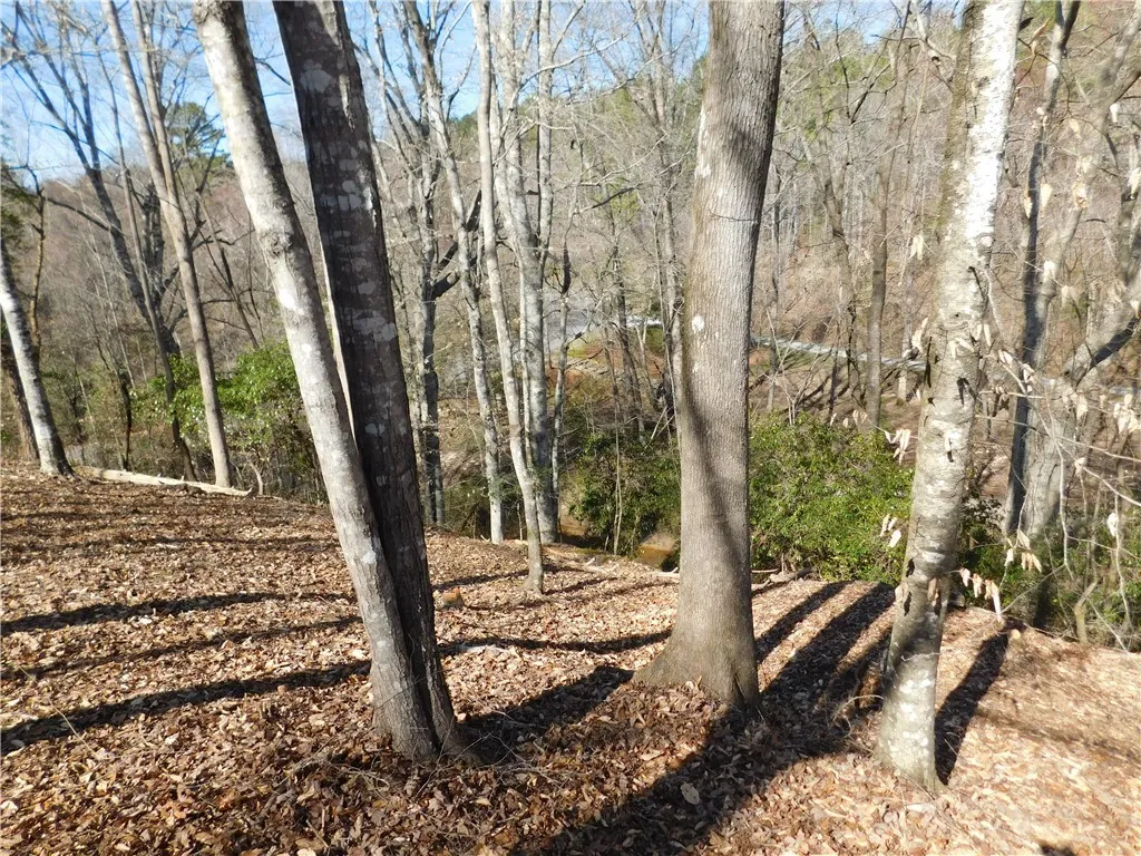 Property image 4 at 327 Cliffs South Parkway, Salem, SC 29676