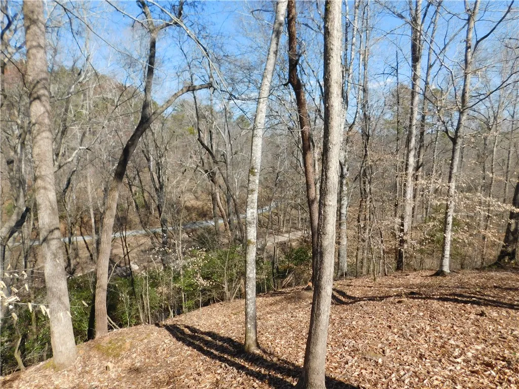 Property image 5 at 327 Cliffs South Parkway, Salem, SC 29676