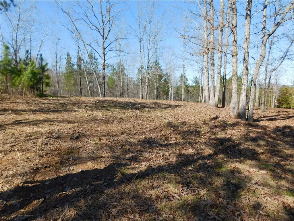 Property image 1 at Jc5 Eagle S Bend Trail, Salem, SC 29676