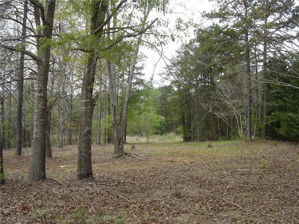 Property image 2 at Lot 10 Valley Creek Dr., Westminster, SC 29693