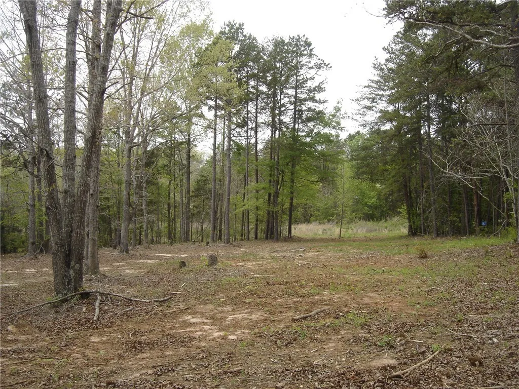 Property image 4 at Lot 10 Valley Creek Dr., Westminster, SC 29693