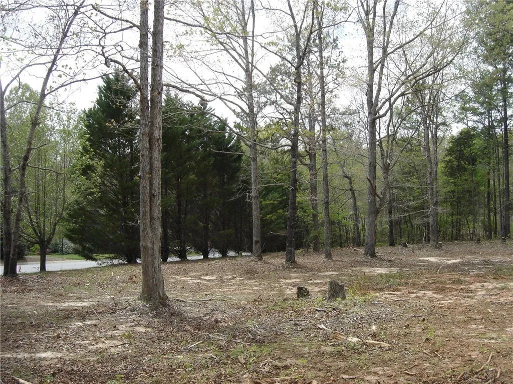 Property image 5 at Lot 10 Valley Creek Dr., Westminster, SC 29693