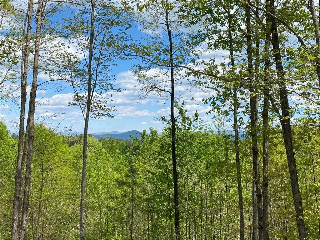 Lot 38 Cliffs Vista Parkway