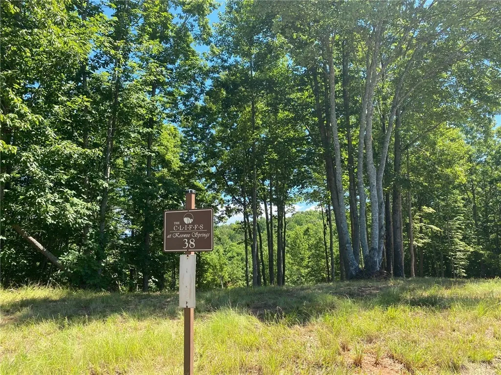 Property image 2 at Lot 38 Cliffs Vista Parkway, Six Mile, SC 29682